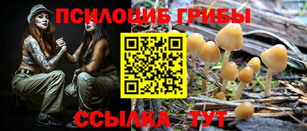 наркотики  Вход с VPN  Галлюциногенные грибы Psilocybine cubensis  Тавда  Псилоцибиновые грибы Magic Shrooms 